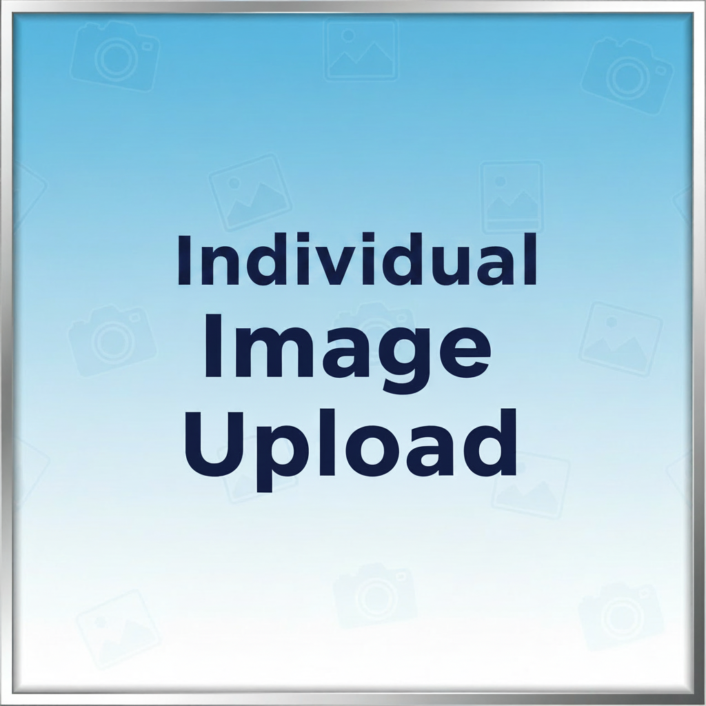 Individual Image Upload (Instructions)